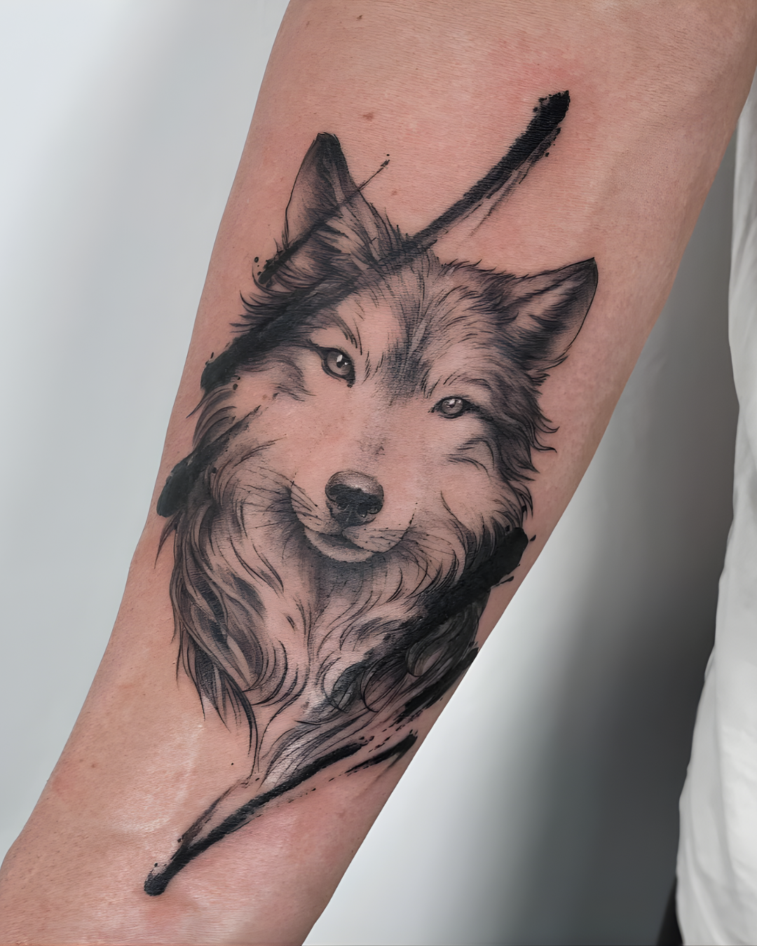tattoo lobo sketch realista antebraço minimalista