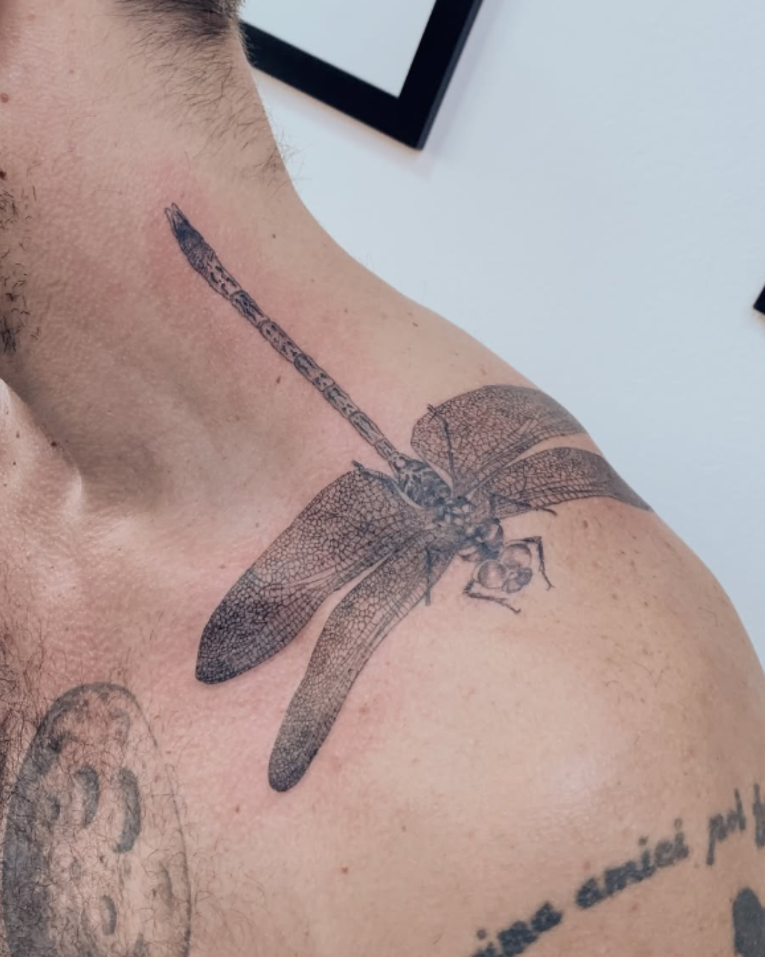 tattoo libélula realista ombro traço fino
