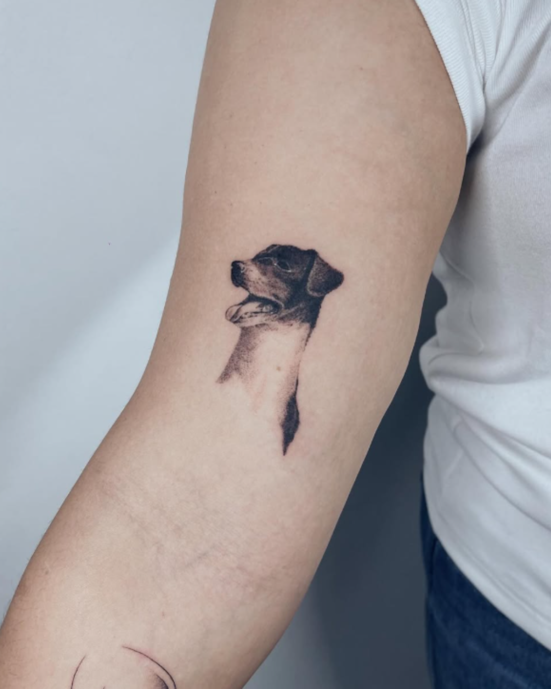 tattoo cachorro retrato realista braço minimalista